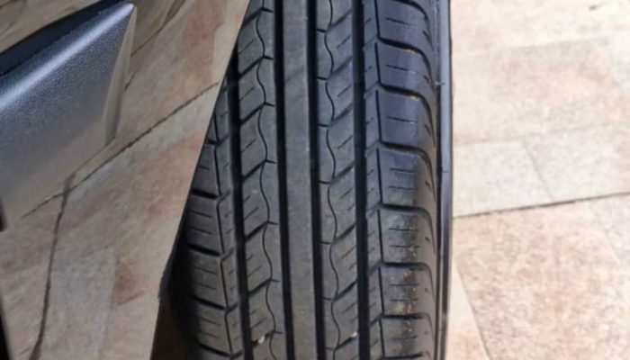 WhatsApp-Image-2025-12-07-at-14.47.18-3