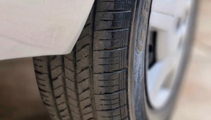 WhatsApp Image 2025-12-07 at 15.36.28